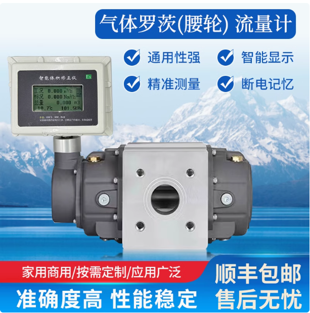 LLQ-40氣體羅茨腰輪流量計(jì)