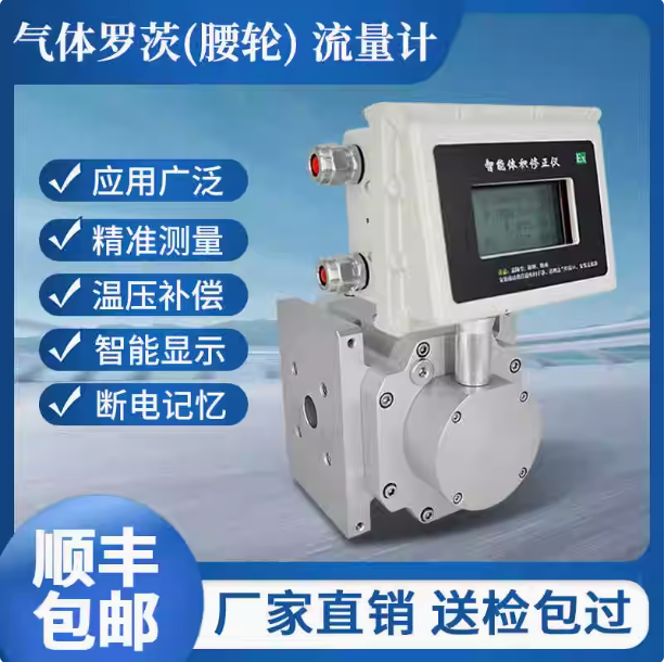 LLQ-50氣體羅茨腰輪流量計(jì)...